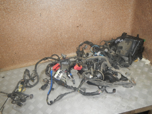 Фотография Проводка (коса), KIA (Киа)-CEED (18-)