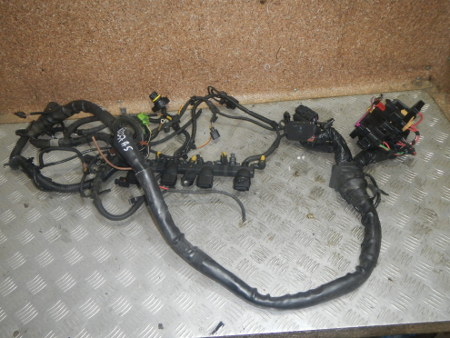 Фотография Проводка (коса), Audi (Ауди)-A5/S5 (8T) (08-16)