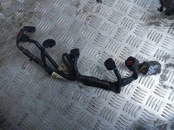 Проводка (коса), Mazda (Мазда)-6 (GH) (07-)