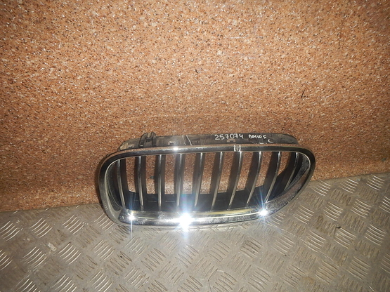 Решетка радиатора, BMW (БМВ)-5 (F10, F11) (09-)