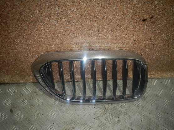 Решетка радиатора, BMW (БМВ)-5 (G30) (16-)