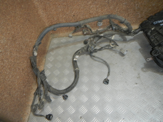 Проводка (коса), Toyota (Тойота)-LAND CRUISER PRADO 150 (09-17) авторазбор, Фото 2