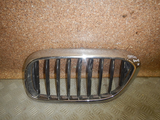 Решетка радиатора, BMW (БМВ)-5 (G30) (16-)