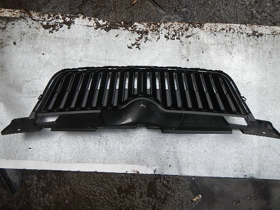 Решетка радиатора, Skoda (Шкода)-FABIA (07-) авторазбор, Фото 2